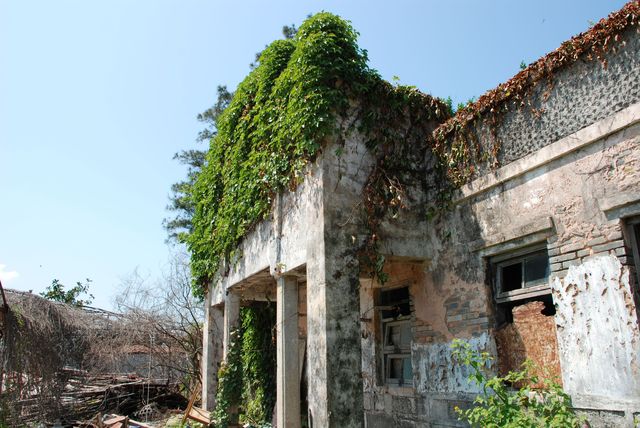 探秘三門島