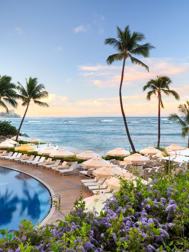 🌺 Honolulu's Hotel Gems: Luxe Stays & Tropical Escapes 🌴