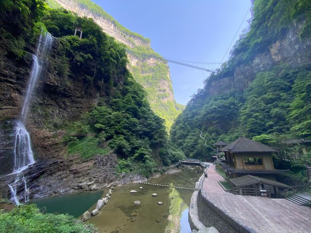 湖北秭歸三峽竹海