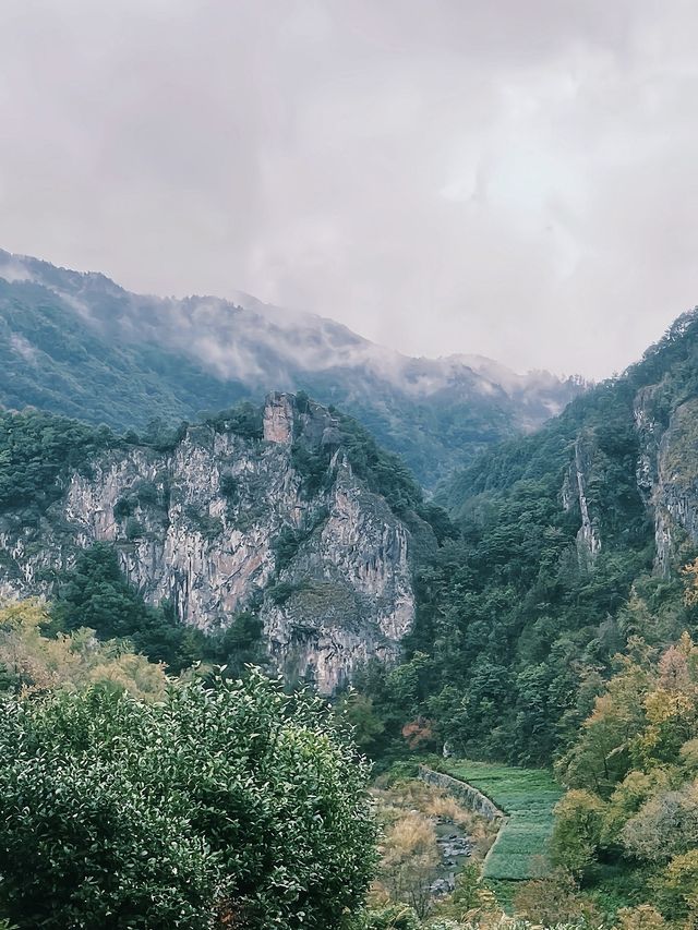 倒數的安山古道仙境再不去要消失啦。