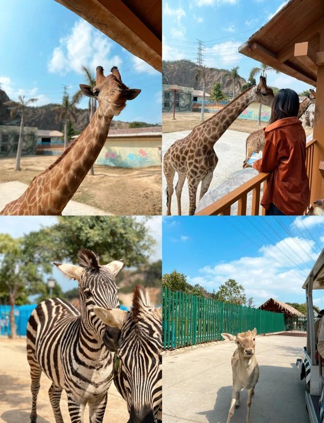 福清永鸿野生動物園~。