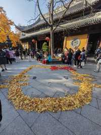 龍華寺太美了