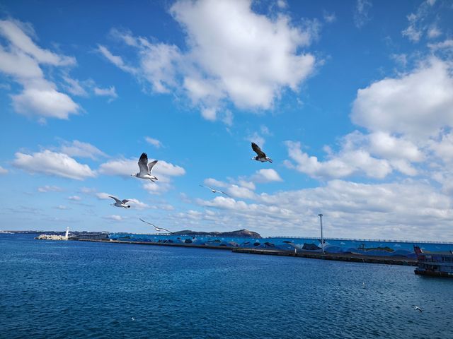 濟州島一日遊全攻略