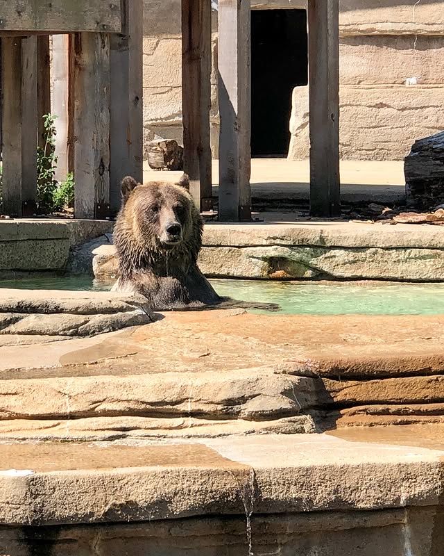 塔爾薩動物園：精彩的野生動物探險之旅 