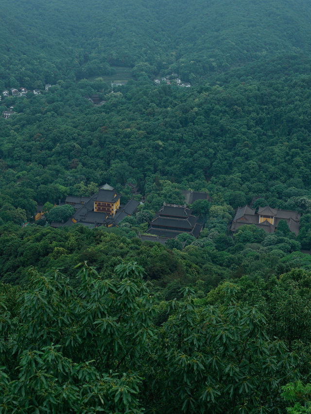 靈隱寺邂逅小松鼠