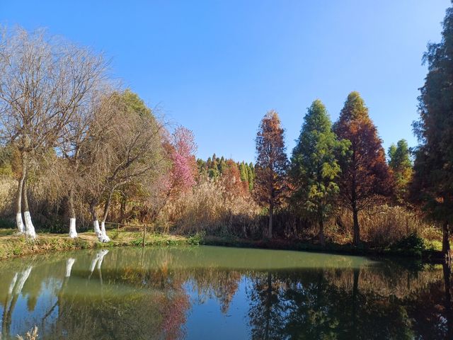 撈魚河公園——樹和鳥的樂土