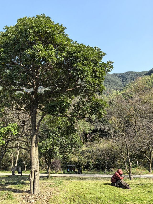 徒步穿越寧波九峰山丨九峰之巅眺望東海