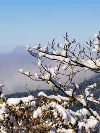 重慶小瑞士武陵山也下雪啦！