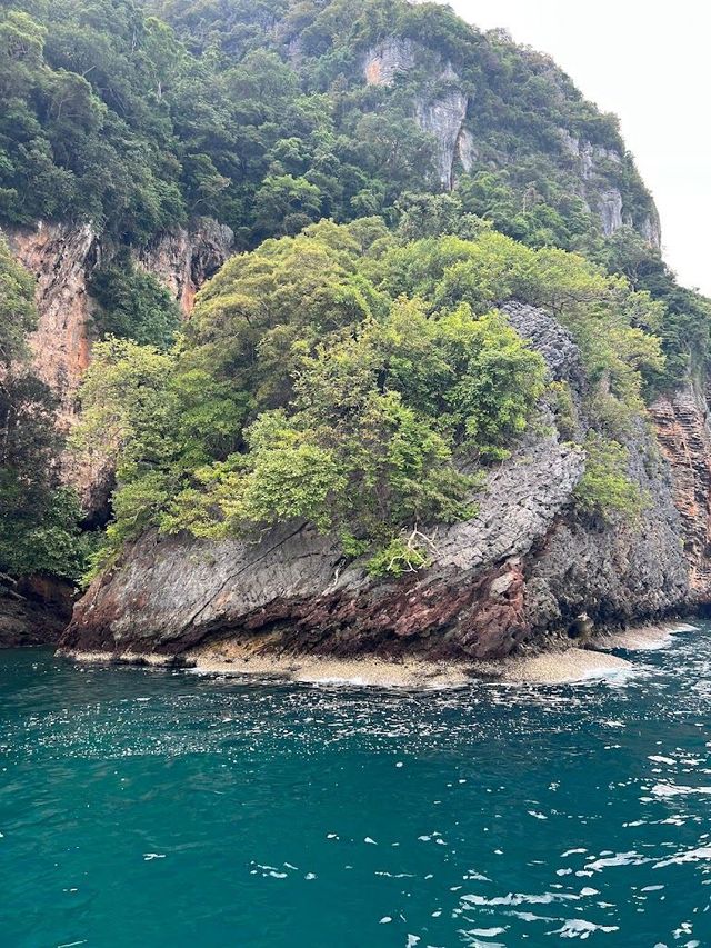 冬天去泰國旅遊 太值了