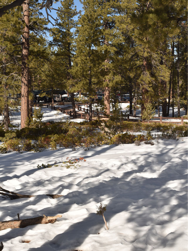 Bryce Canyon winter story❄️☃️🏔️🏜️