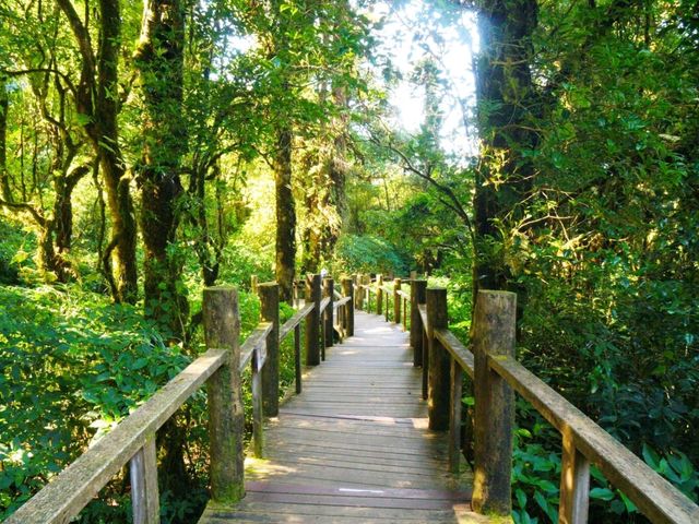 เส้นศึกษาธรรมชาติอ่างกา Ang Ka Nature Trail