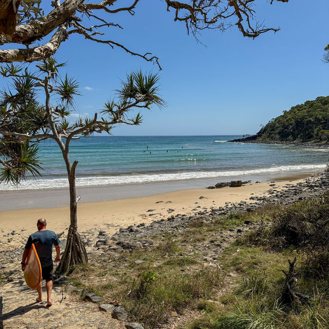 Experience the Allure of the Sunshine Coast, Australia