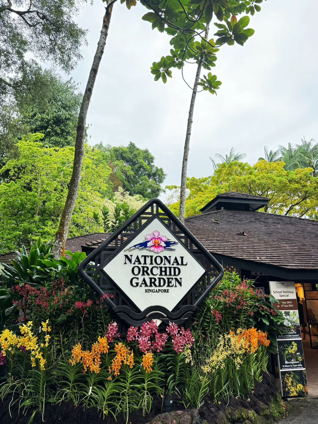 A visit to Singapore botanic garden 🪴 