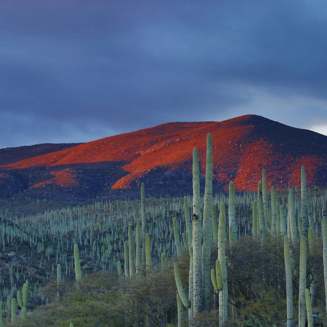 Mexico: A Land of Ancient Wonders and Vibrant Cultures