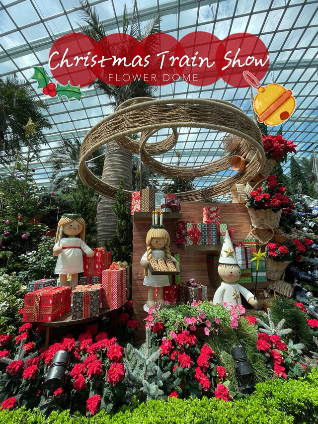 🇸🇬All Christmasy in Flower Dome 🍭 