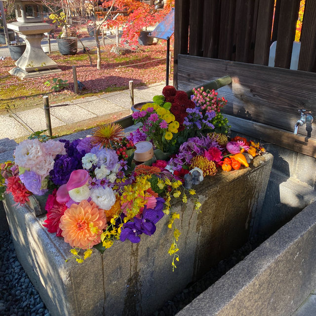 カラフルな花手水💐