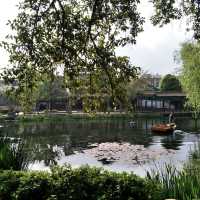 Solo Trip to Xihua National Park: A Tranquil Escape 