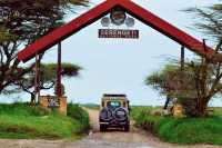 4 days Serengeti migration safari 