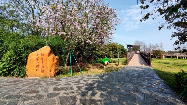 不容錯過的海珠國家濕地公園南區