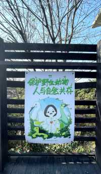 不容錯過的海珠國家濕地公園南區