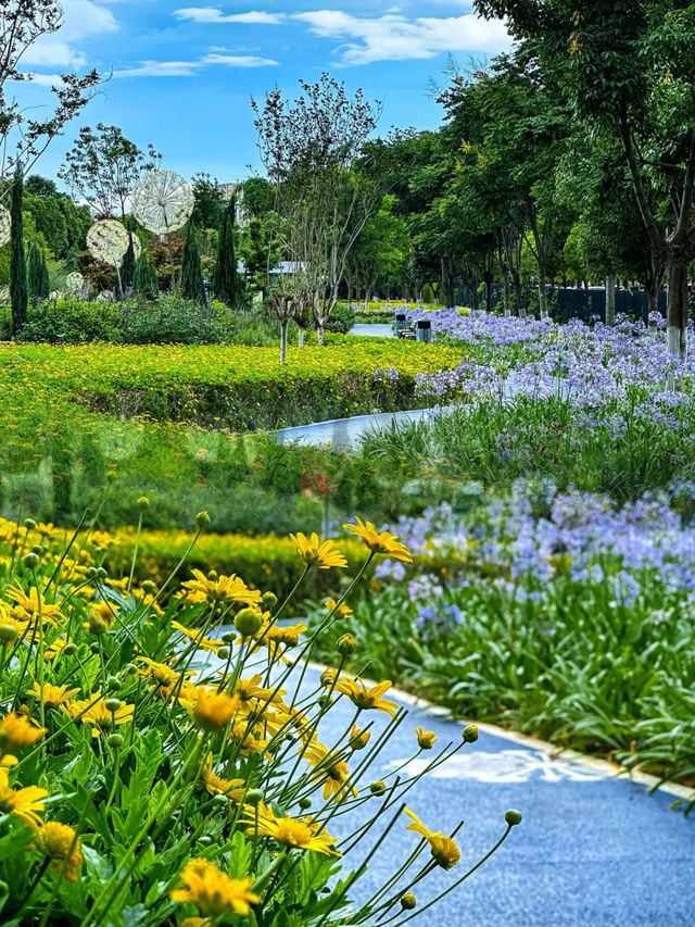 雲南省博物館小遊園，解鎖文化與自然的浪漫邂逅