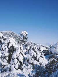 大理蒼山｜「蒼山雪」在哪？