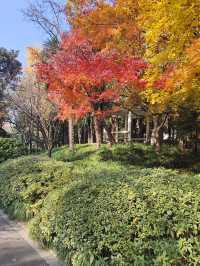 【城市漫遊】探索天山公園的無盡魅力