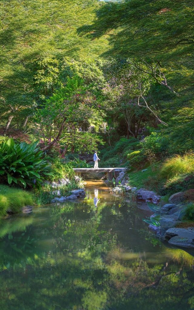 雲蘿植物園，廣州拍照打卡的頂流！