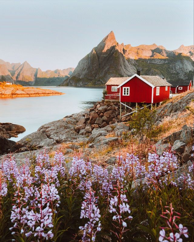 Norway from November to March: The Best Time to Visit All Year Round!