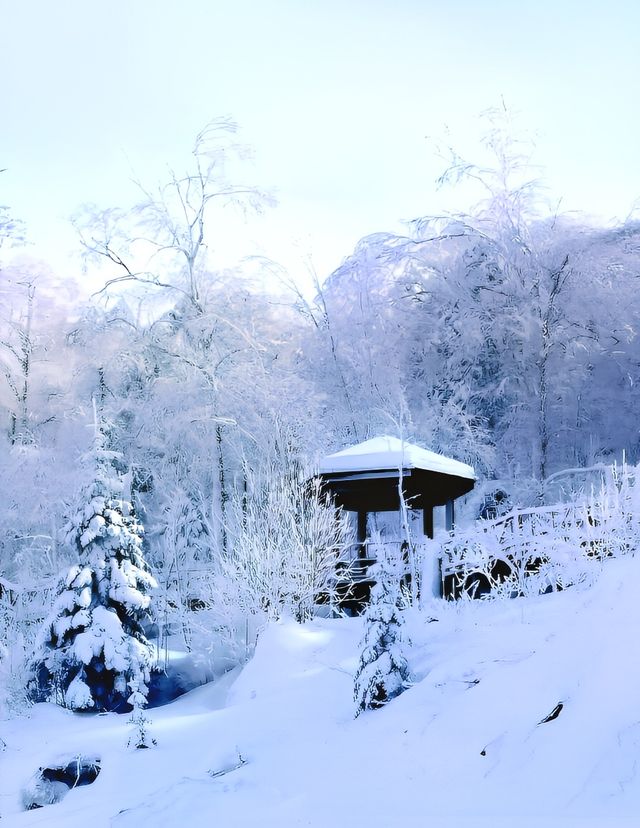 延邊·中國雪鄉風景區：夢幻雪鄉