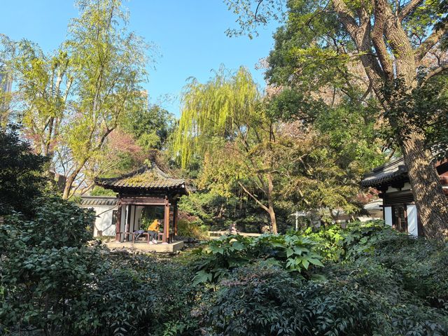 靜安古韻：探秘八景園之美