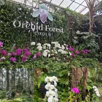 Orchid Forest Cikole