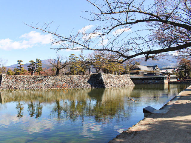 Beautiful Nagoya Castle in Japan 🇯🇵