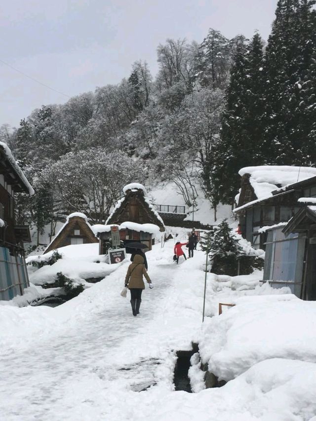 【名古屋旅行】白川鄉：合掌村，體驗日本傳統生活