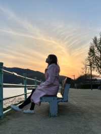 Evening Bliss at Suseongmot Lake: Blossoms, Swan Boats, and Sunset