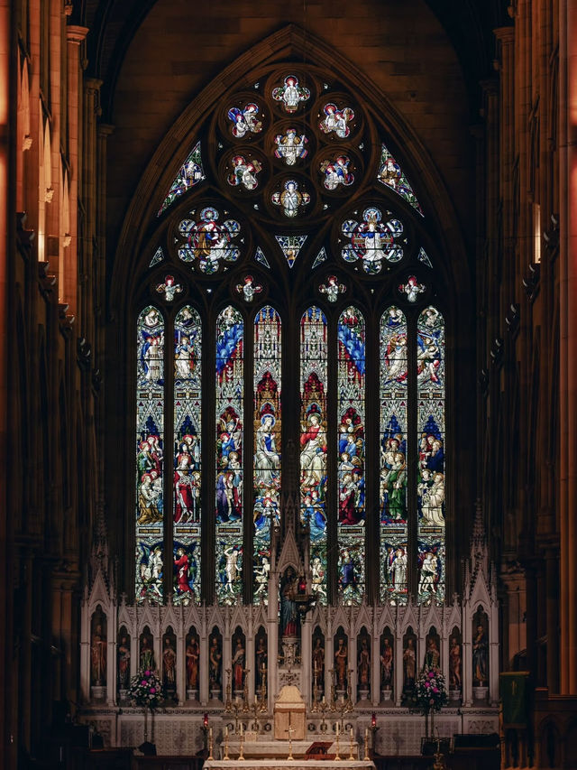 Heavenly Lights: A Christmas Spectacle at St Mary’s Cathedral