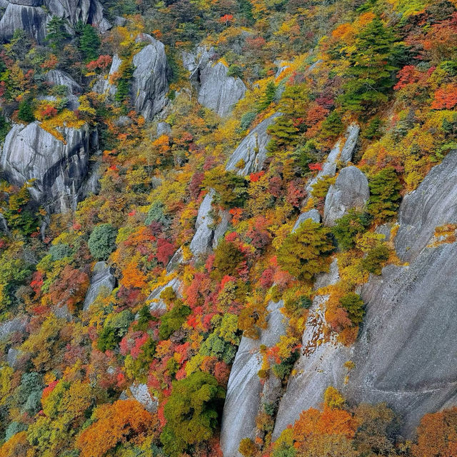 鷹峯山：雲霧秋日🏞️