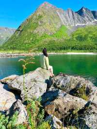 Out and explore Senja 🇳🇴