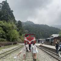 Alishan’s Cherry Blossom (Taiwan)