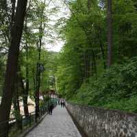 Dracula’s castle 