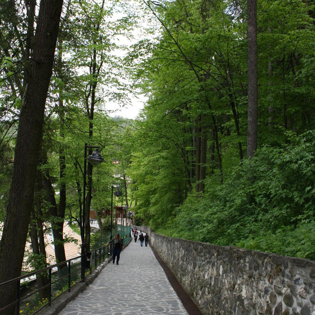 Dracula’s castle 