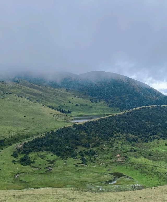 絕美登山 步道分享 大理徒步療癒之旅