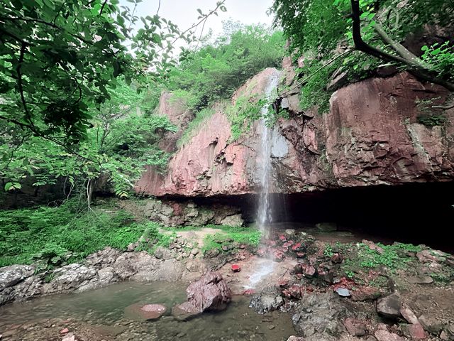 一言難盡的景區｜四明山森林公園