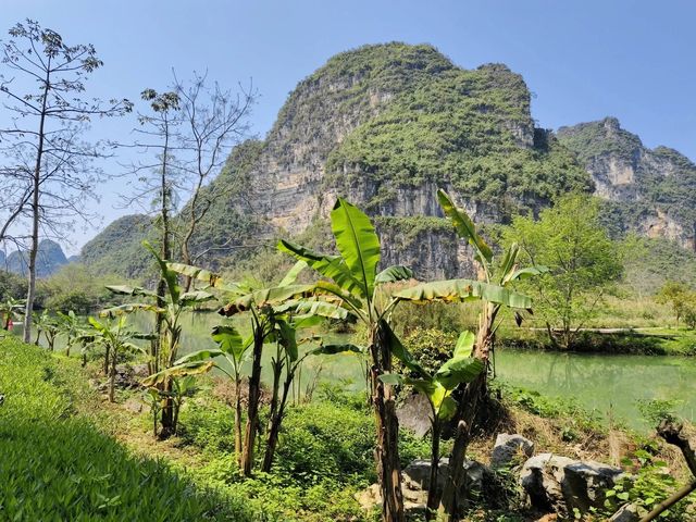 廣西旅遊｜打卡明仕田園，一眼就被驚艷到。