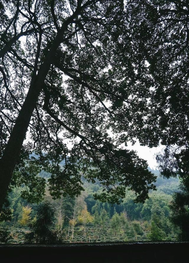 邛崍興福寺。