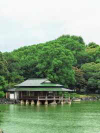 東京小眾秘境丨清澄庭園遊覽攻略