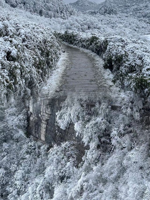 金佛山親子一日遊：冰雪歡樂之旅