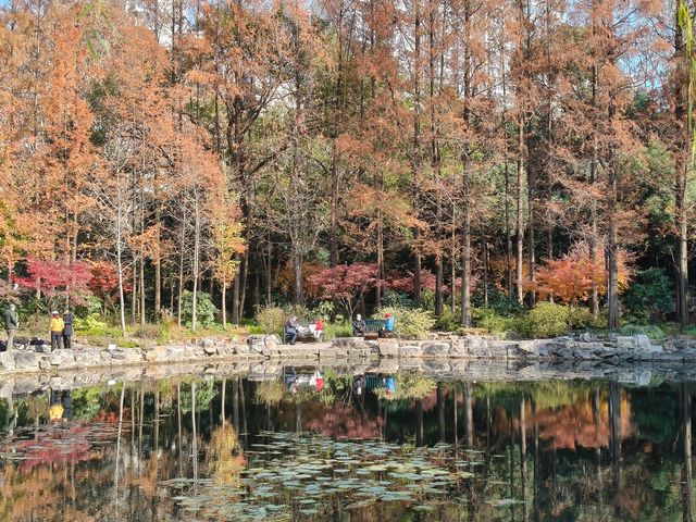 書院氛圍濃厚的和平公園！