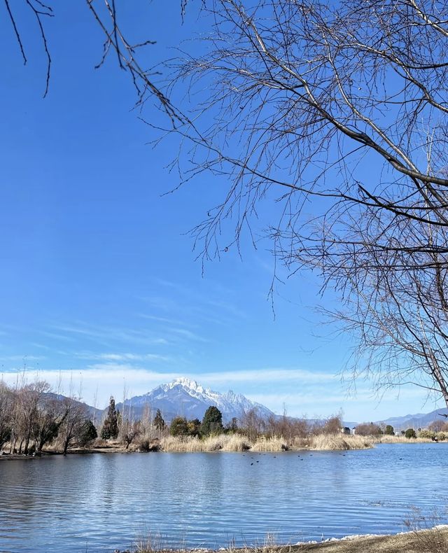 絕美秘境 拉市海 不可錯過的雲南旅遊聖地