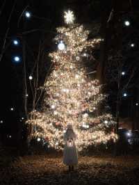 Celebrate Christmas in a Forest of Lights at Karuizawa Kogen Church